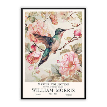 Humming Bird and Pink Cherry blossom art print for living room