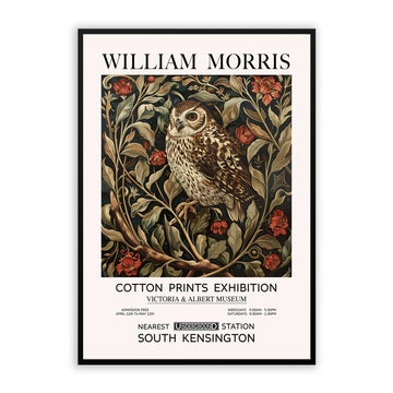 Barn Owl Bird Wall Art – Vintage Botanical & Floral Print