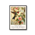 Humming Bird, Vintage William Morris Style Bird  green and pink Print