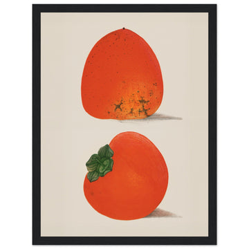 Persimmons - Framed Poster, fruit, kitchen, orange, #illieeart