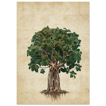 Vintage Indian Banyan Tree, Vintage Art Print, Vintage Indian Banyan Tree, , #illieeart