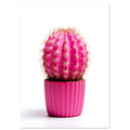 Pinky Promise Cactus, , , , #illieeart