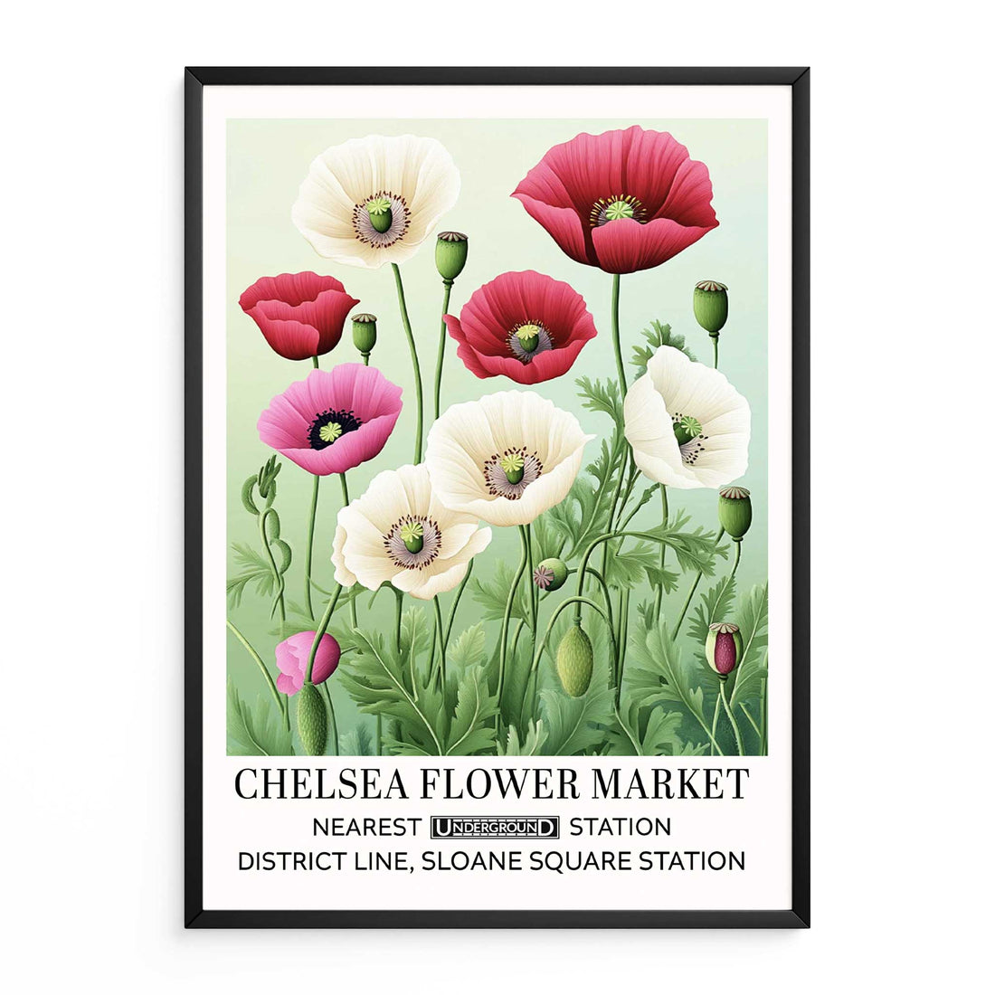 Poppy Field Floral Wall Art featuring red, pink, and cream poppy flowers illustrated in a vintage poster-style design inspired by English countryside