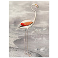 Flamingo by Edouard Travies, , , , #illieeart