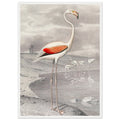 Flamingo by Edouard Travies - Framed Poster, , , , #illieeart