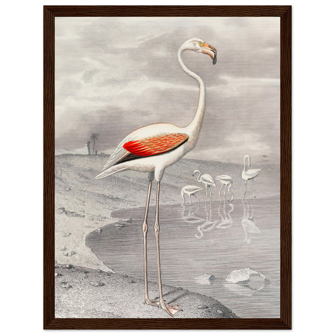 Flamingo by Edouard Travies - Framed Poster, , , , #illieeart