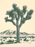 Illustration of a Joshua tree with mountains in the background on a beige background