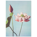 Lotus - Vintage Japanese, botanical art print, Vintage Japanese, Vintage Lotus Prints, #illieeart
