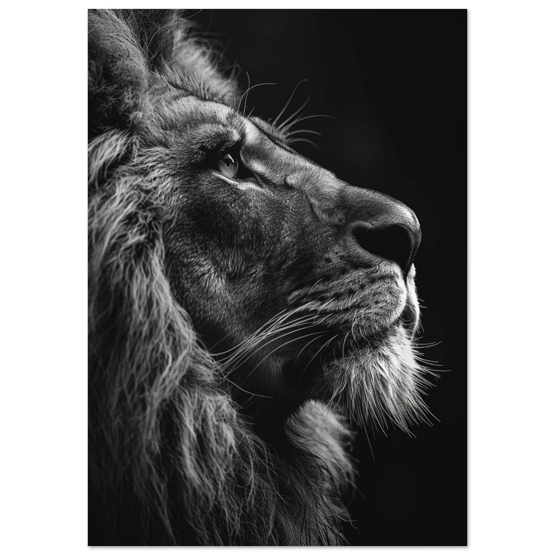 My Pride, Black and White Art Print, Lion Art Print, , #illieeart