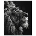 My Pride, Black and White Art Print, Lion Art Print, , #illieeart