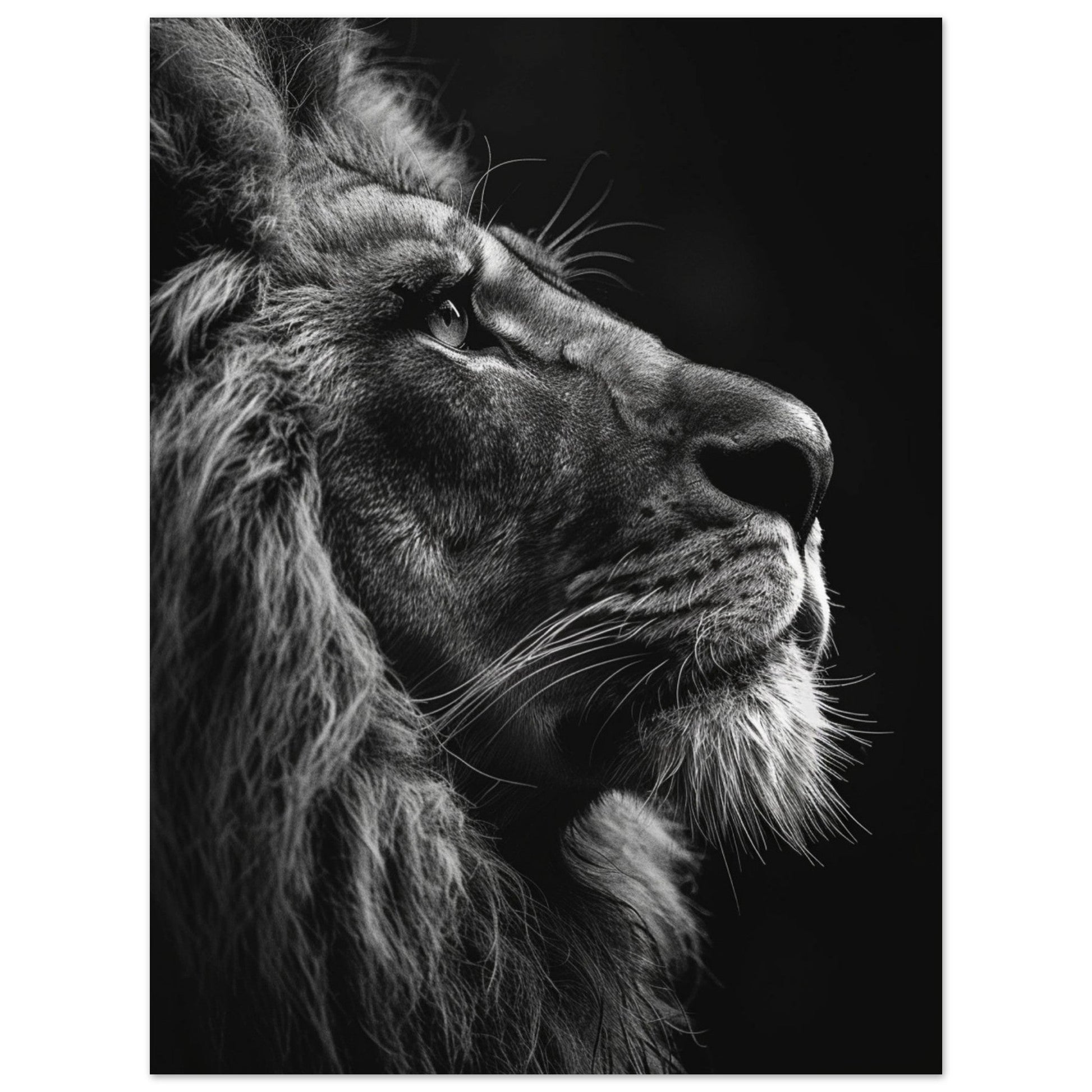 My Pride, Black and White Art Print, Lion Art Print, , #illieeart