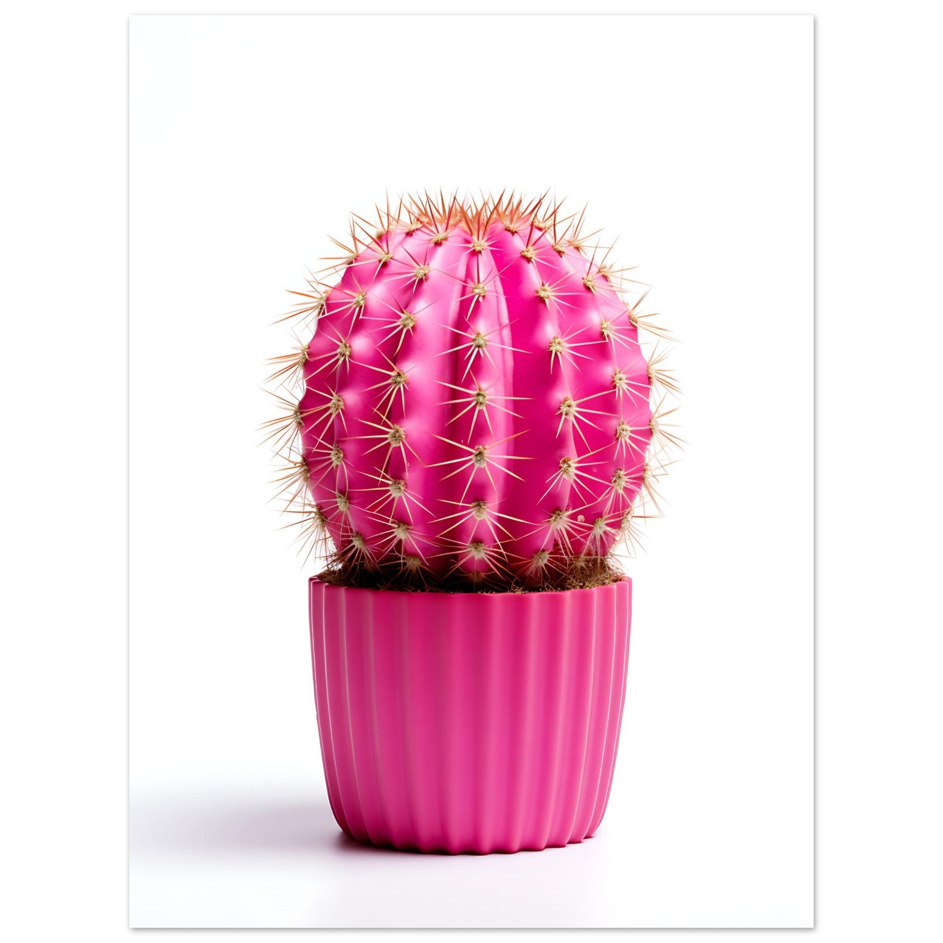 Pinky Promise Cactus, , , , #illieeart