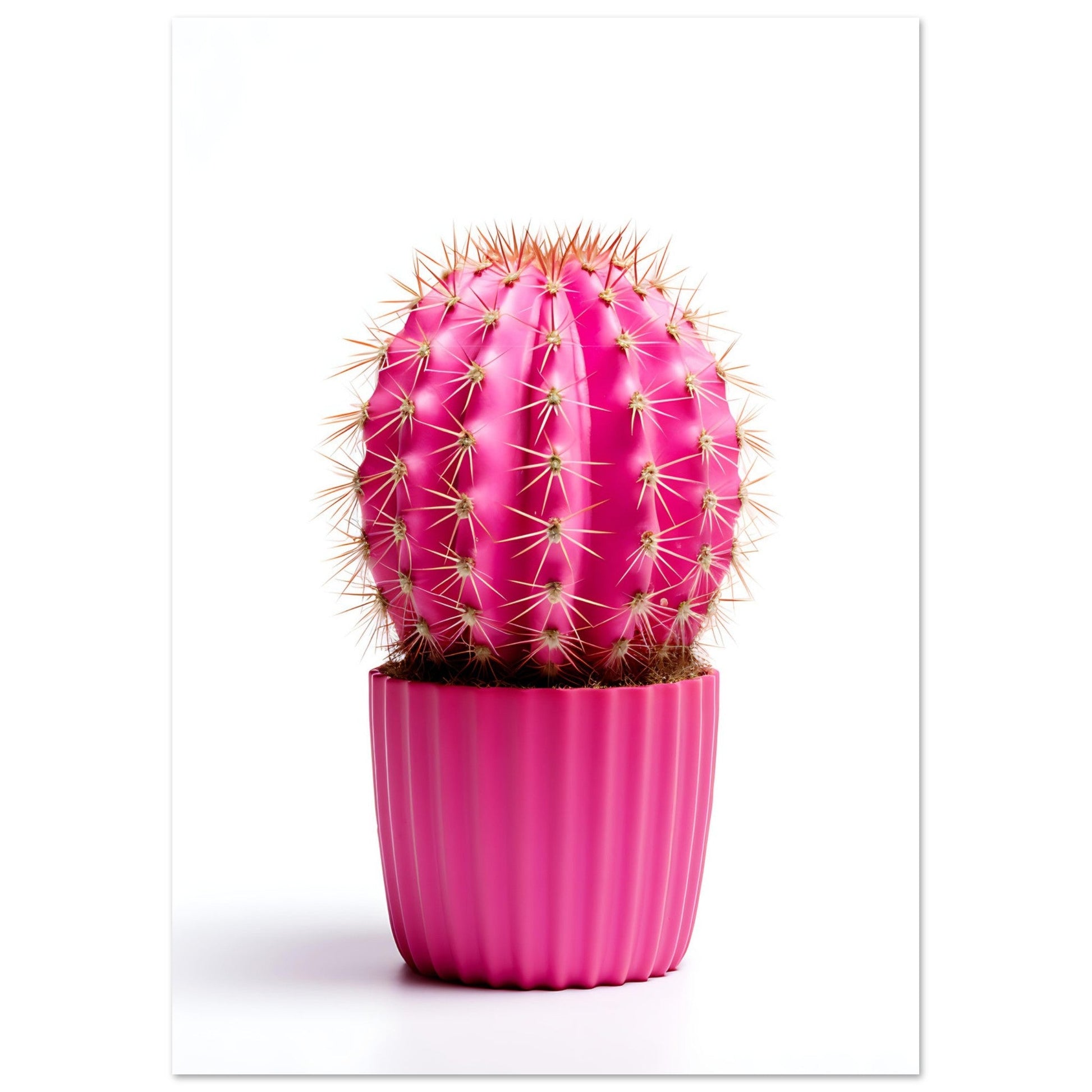 Pinky Promise Cactus, , , , #illieeart