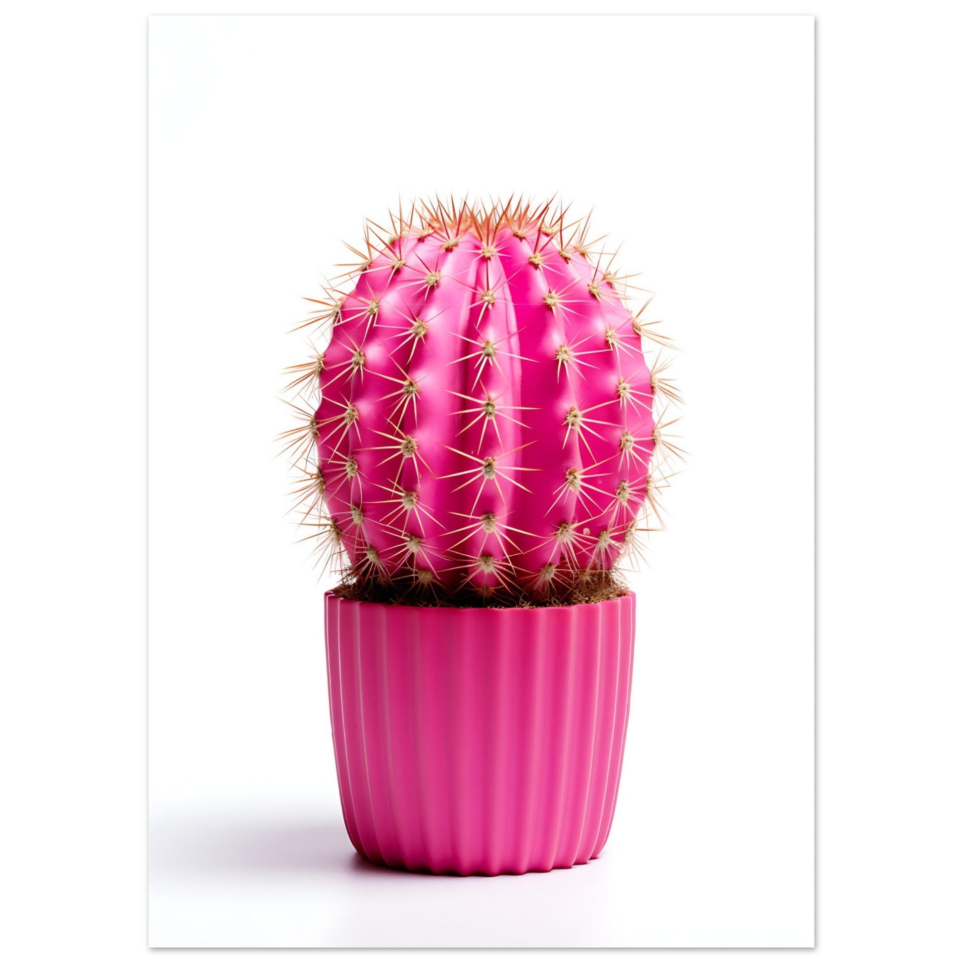 Pinky Promise Cactus, , , , #illieeart