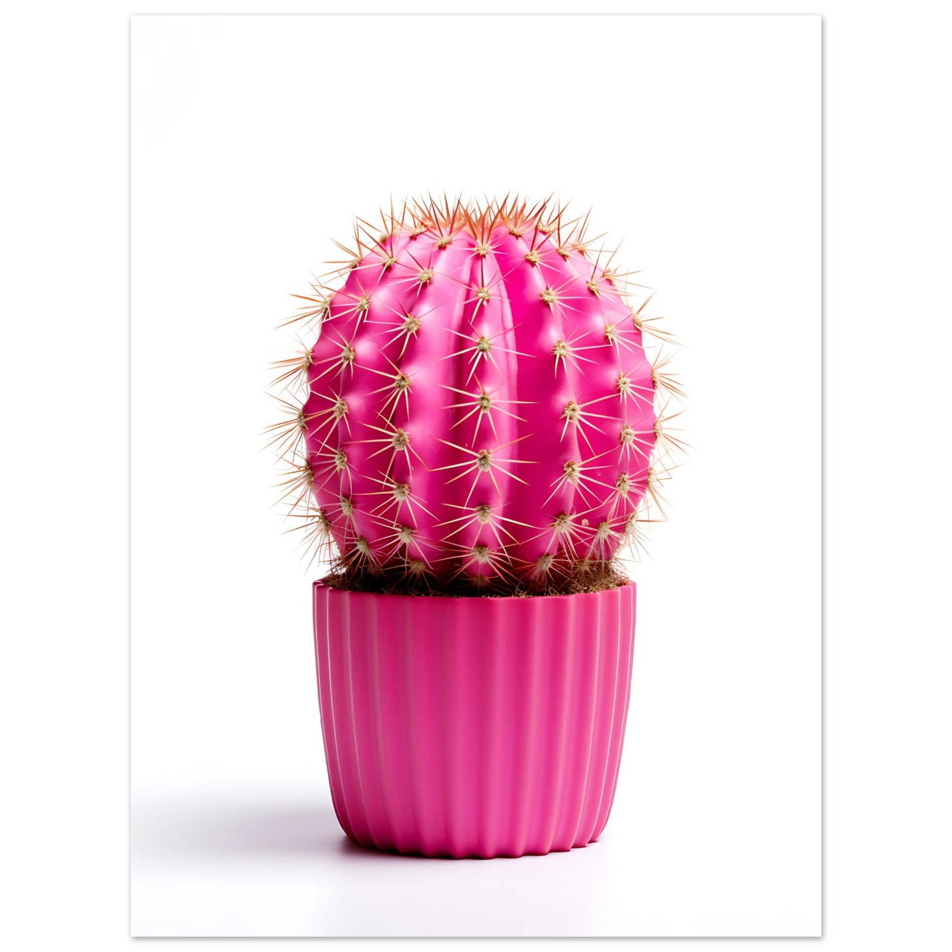 Pinky Promise Cactus, , , , #illieeart