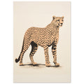 Speedy, Cheetah, Vintage Animal Print, Vintage Big Cat, #illieeart