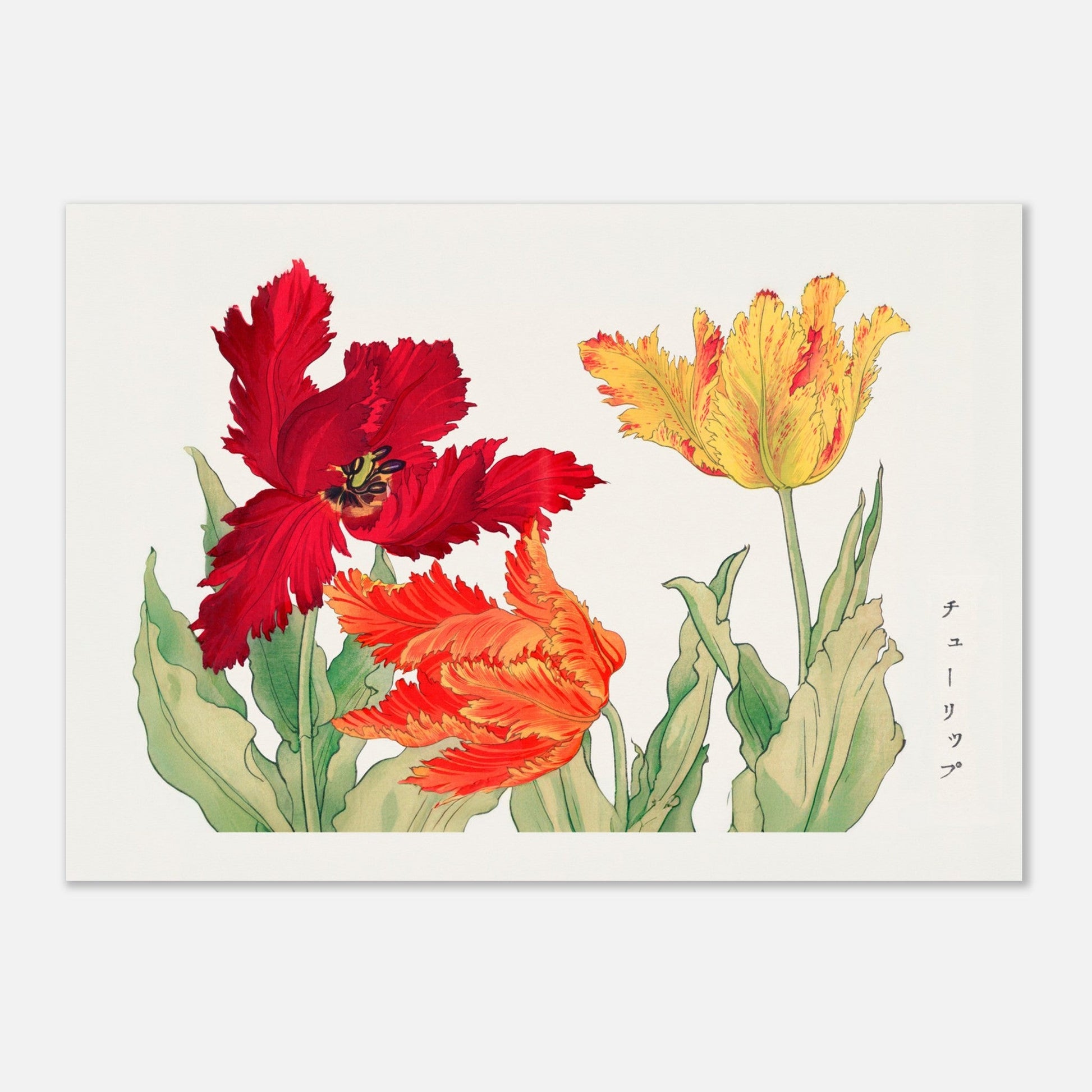 Tulips - Vintage Japanese Illustration, Japanese Illustration, Tulips, vintage floral art print, #illieeart