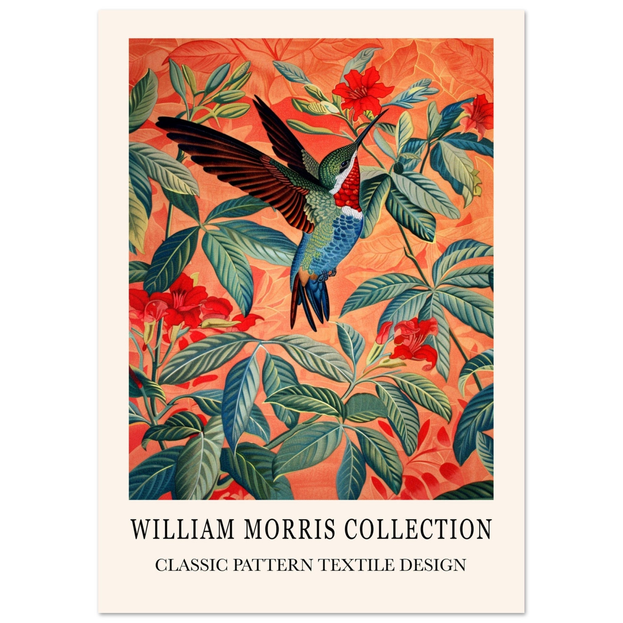 アート・デザイン・音楽 CLASSIC NATURAL HISTORY PRINTS BIRDS アート・デザイン・音楽 CLASSIC NATURAL HISTORY PRINTS BIRDS