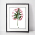 Pink & Green Monstera Leaf, floral art print, Pink Monstera, pop art poster, #illieeart #