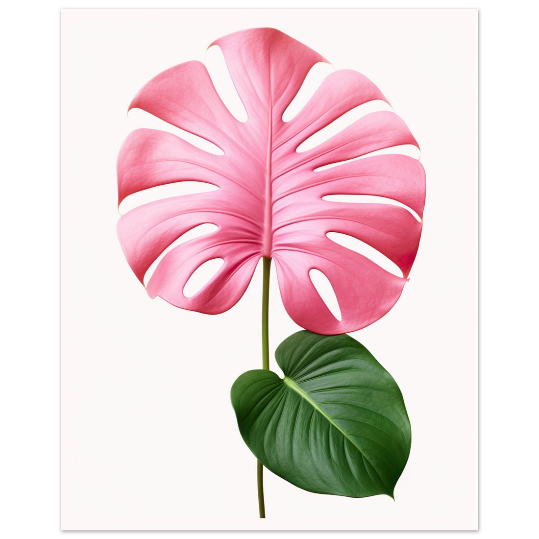 Pink Monstera, floral art print, Pink Monstera, pop art, #illieeart #