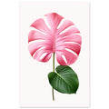 Pink Monstera, floral art print, Pink Monstera, pop art, #illieeart #