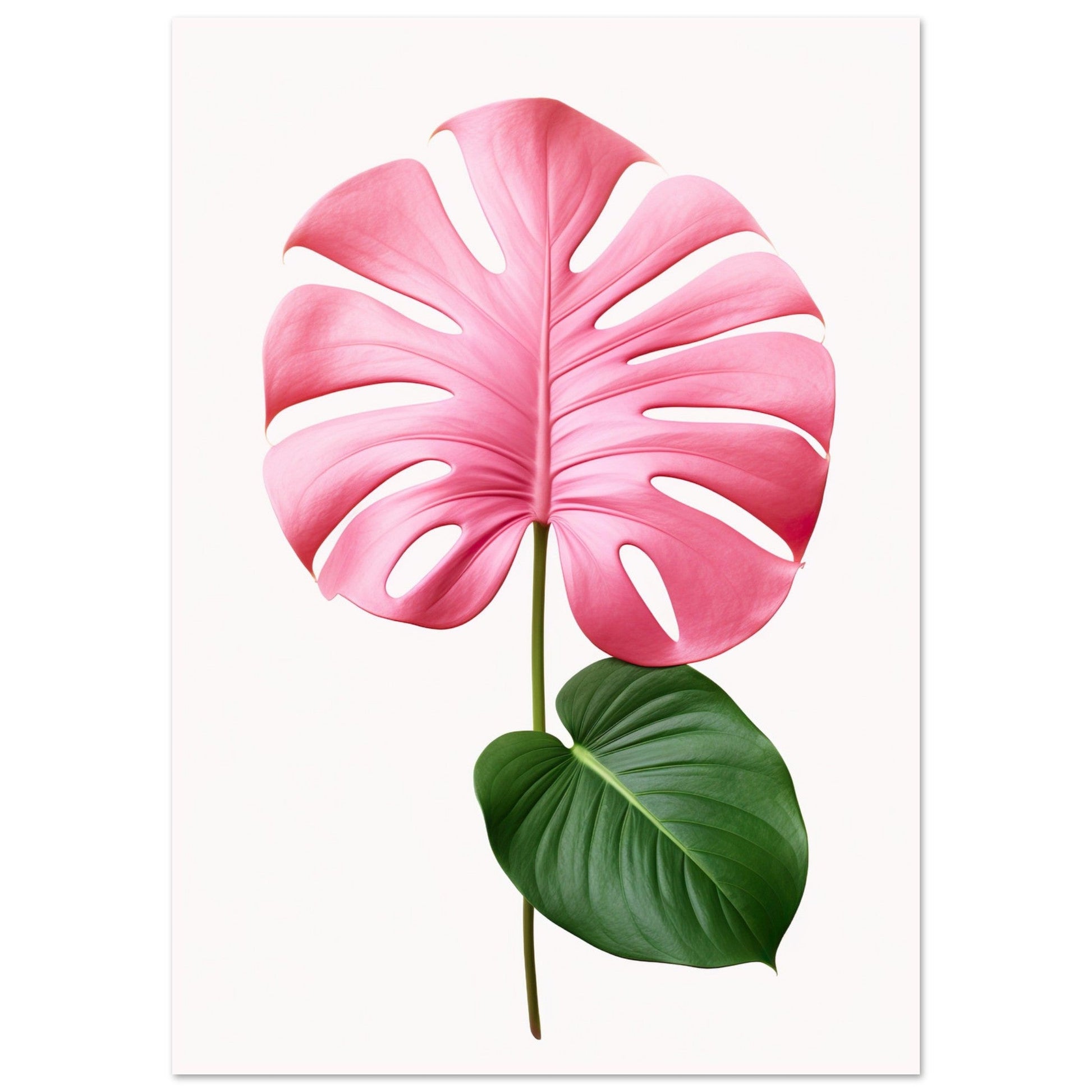 monstera with pink leaves Pink Monstera Print | 30% DISCOUNT On All Art Print | illieeart